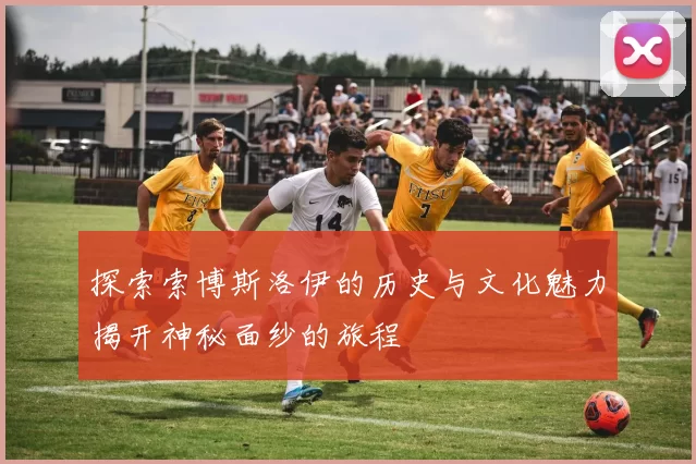 探索索博斯洛伊的历史与文化魅力揭开神秘面纱的旅程