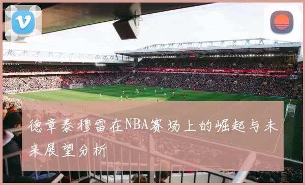 德章泰穆雷在NBA赛场上的崛起与未来展望分析