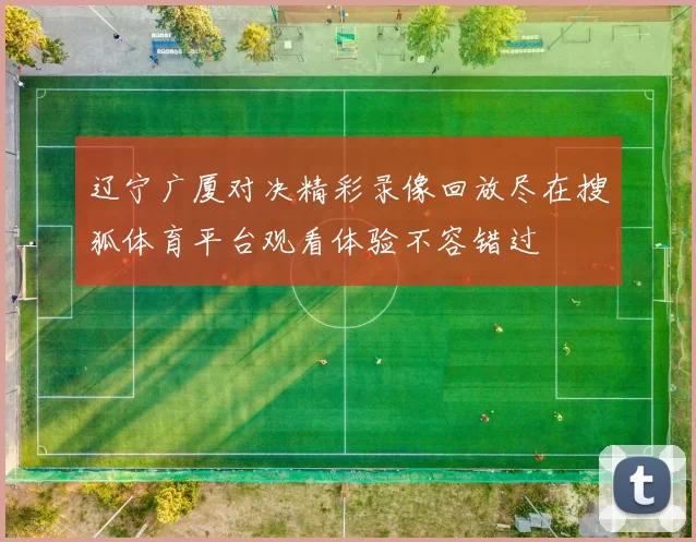 辽宁广厦对决精彩录像回放尽在搜狐体育平台观看体验不容错过